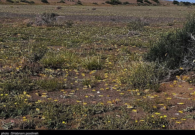 استان سیستان و بلوچستان , 