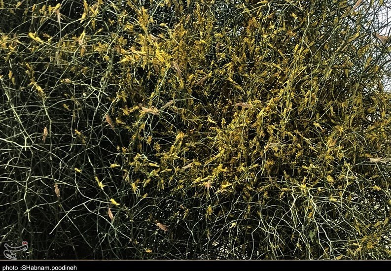 استان سیستان و بلوچستان , 