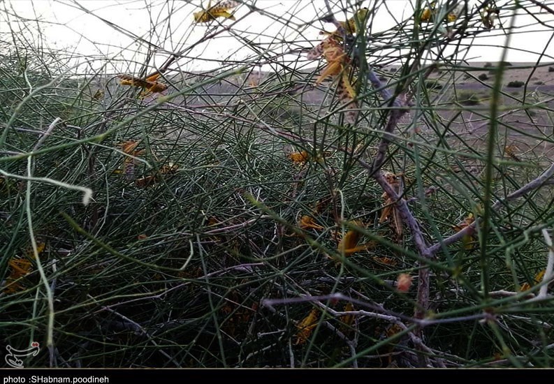 استان سیستان و بلوچستان , 