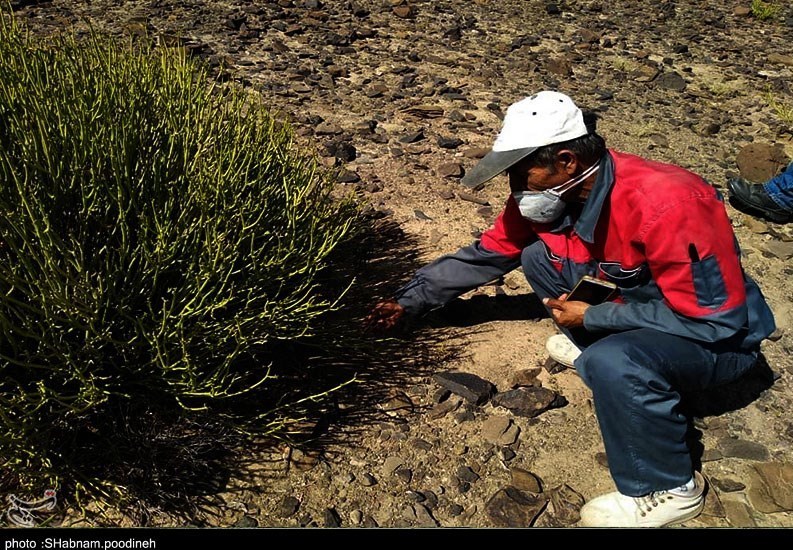 استان سیستان و بلوچستان , 