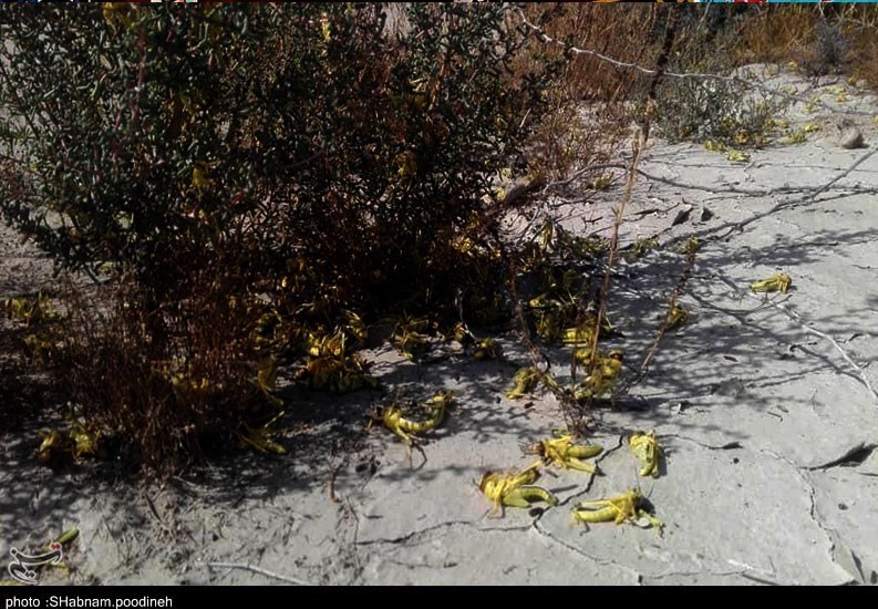 استان سیستان و بلوچستان , 