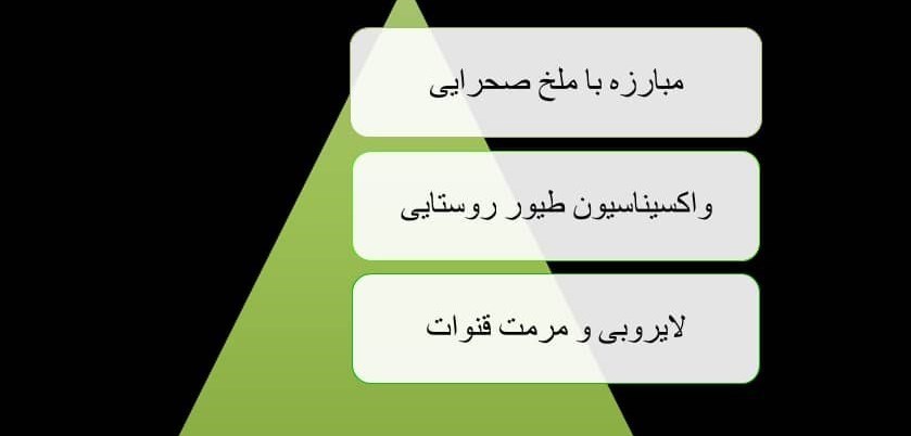 وزارت جهاد کشاورزی , کشاورزی , بسیج سازندگی , جهش تولید ,