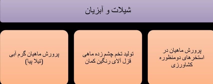 وزارت جهاد کشاورزی , کشاورزی , بسیج سازندگی , جهش تولید ,