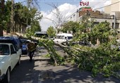 بادهای شدید در لرستان؛ هشدار خسارت‌های محلی