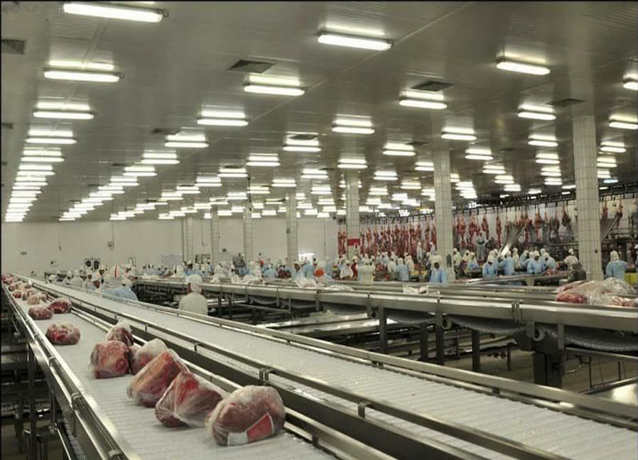 کشور برزیل , 