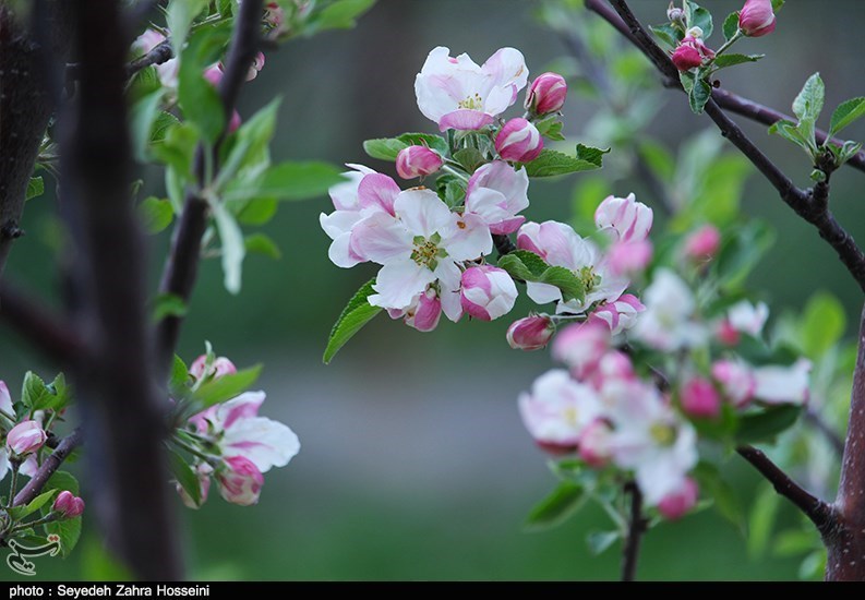 آذربایجان شرقی , 