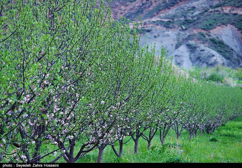 آذربایجان شرقی , 