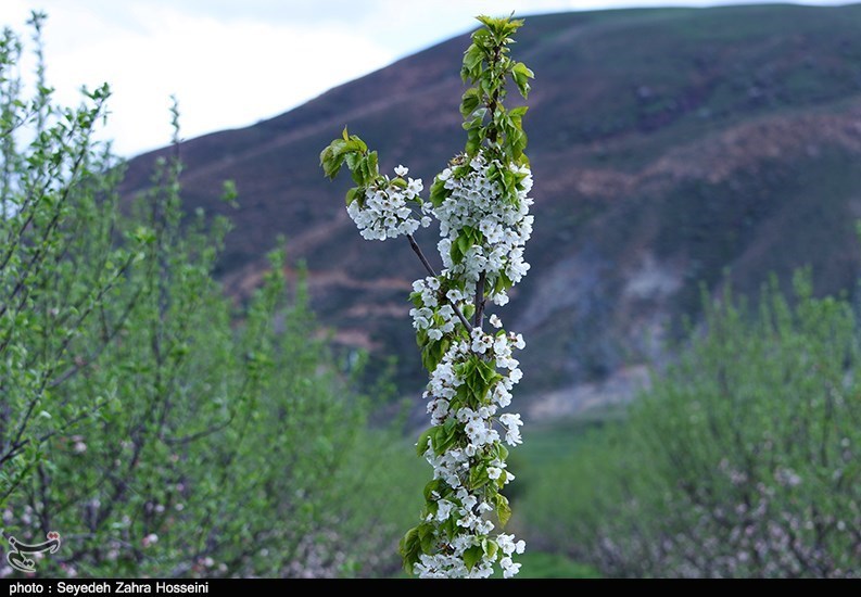 آذربایجان شرقی , 