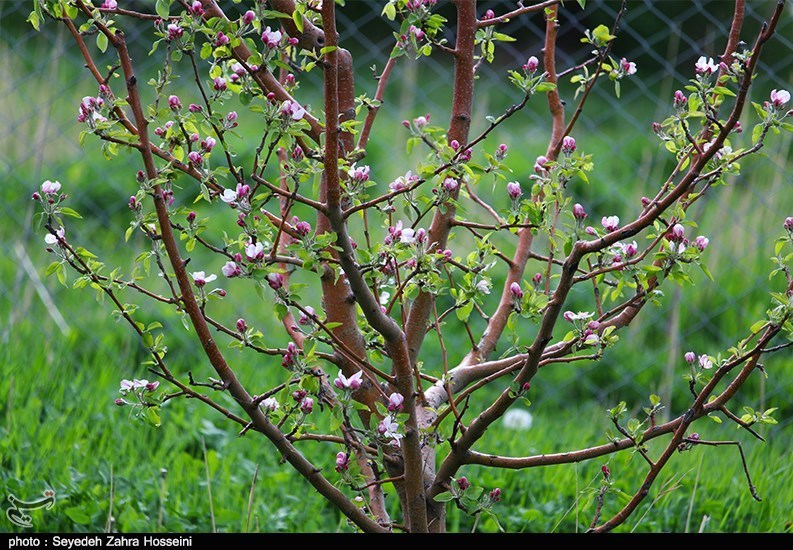 آذربایجان شرقی , 