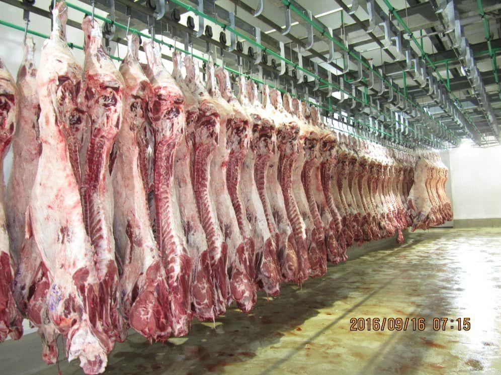 کشور برزیل ,