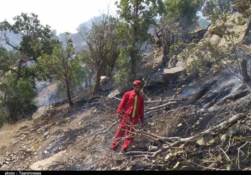 آتش سوزی جنگل ها و مراتع ,