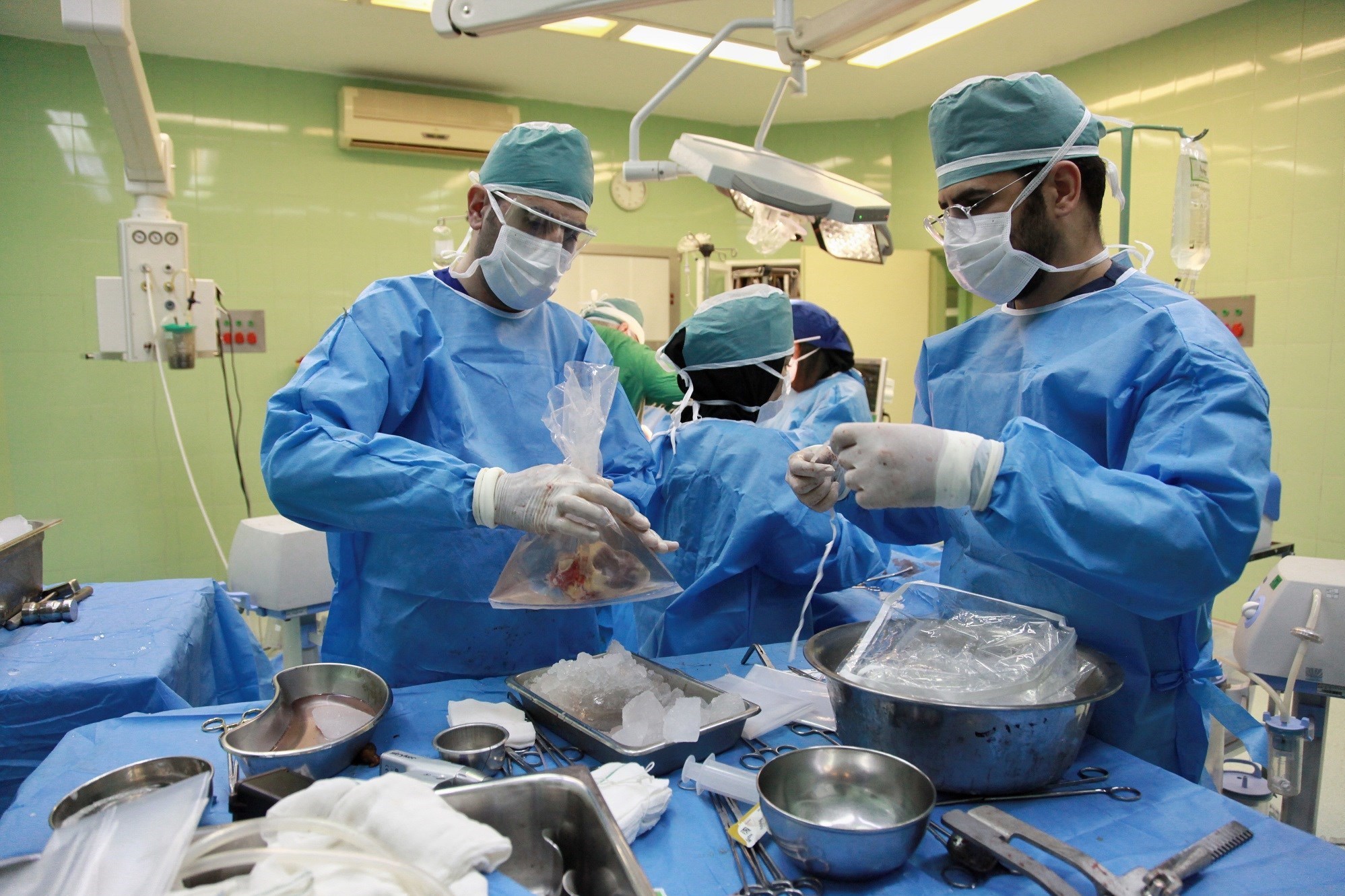 وزارت بهداشت , اهدای عضو , بهداشت و درمان ,