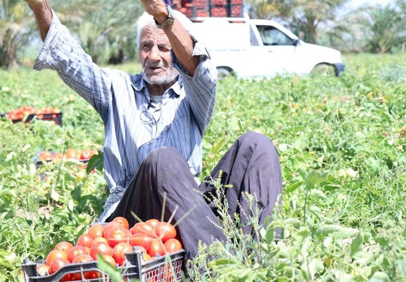 گروههای جهادی , هیئت , ویروس کرونا ,