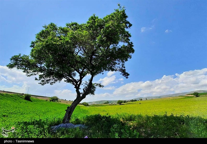 لزوم مشارکت همه‌جانبه برای صیانت از محیط‌زیست در خراسان شمالی