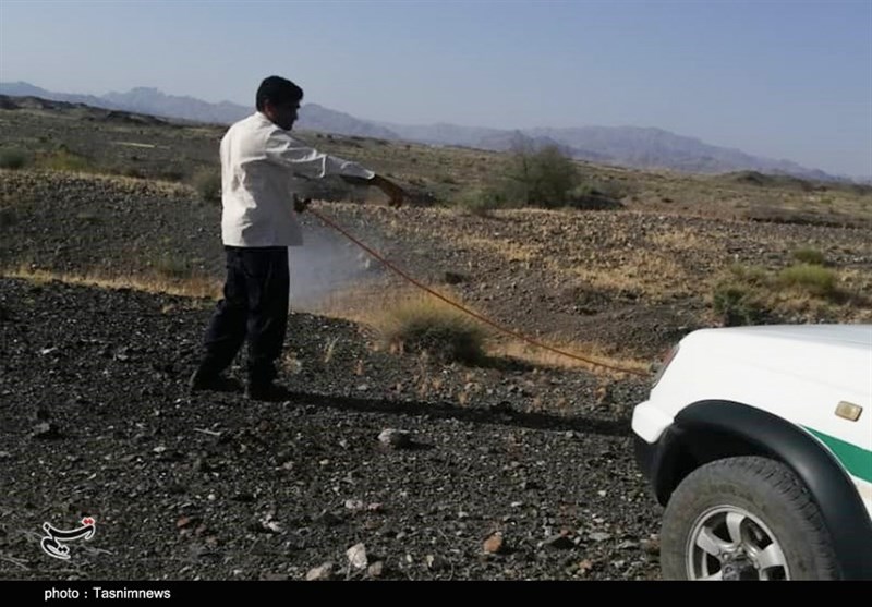 استان کرمان , کشاورزی , 