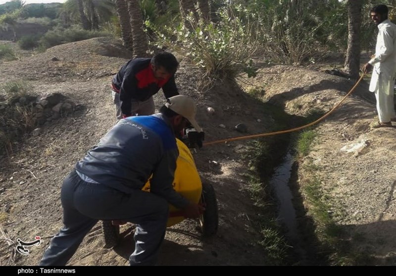 استان کرمان , کشاورزی , 