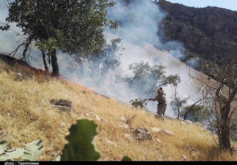 آتش سوزی جنگل ها و مراتع , استانداری کهگیلویه و بویراحمد , 