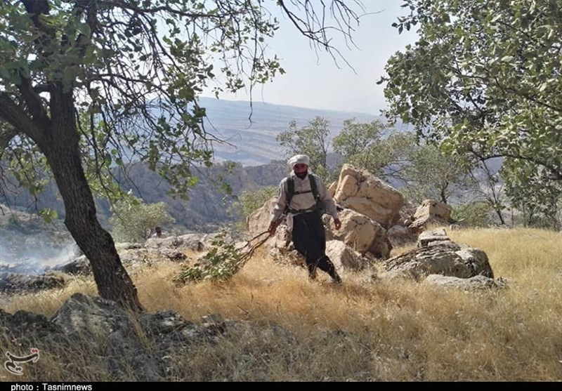 آتش سوزی جنگل ها و مراتع , استانداری کهگیلویه و بویراحمد , 