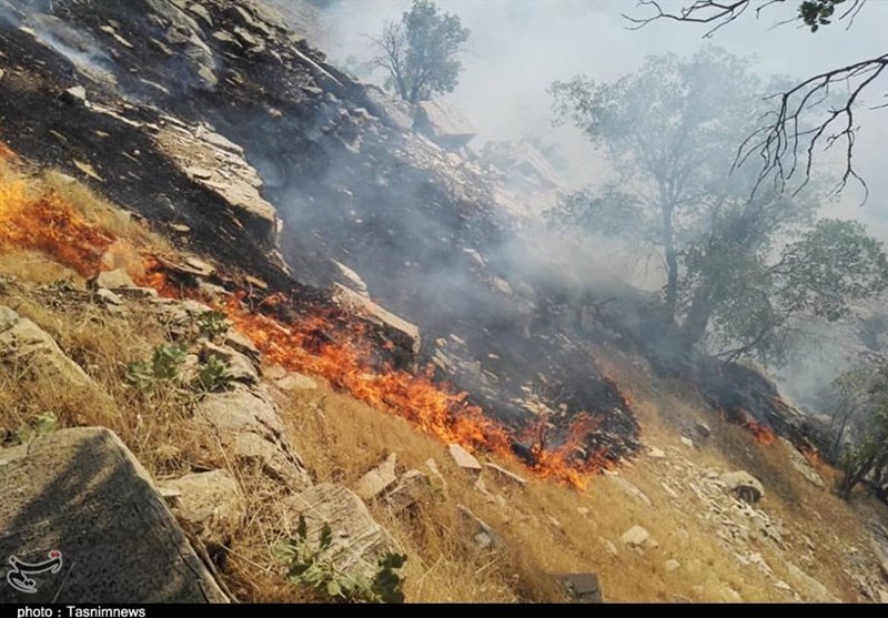 آتش سوزی جنگل ها و مراتع , استانداری کهگیلویه و بویراحمد , 