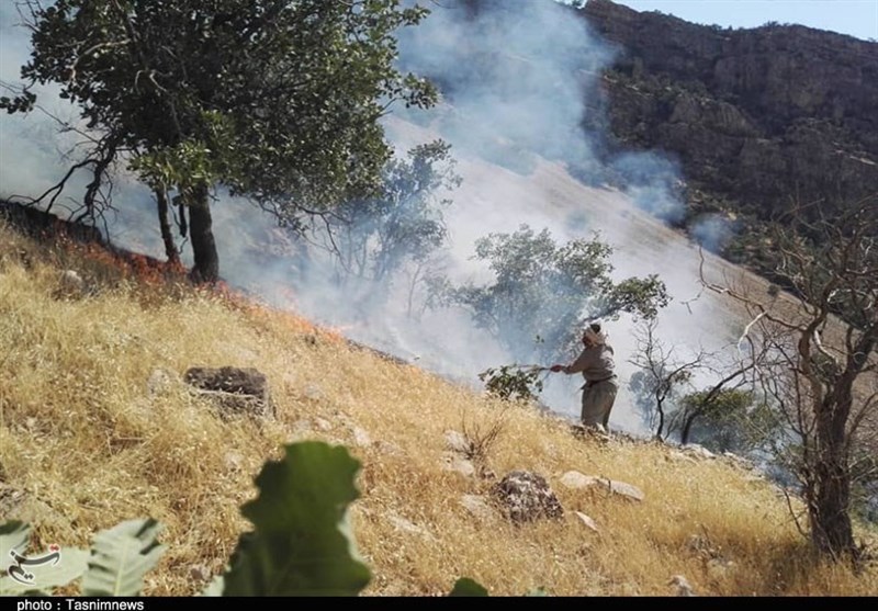 آتش سوزی جنگل ها و مراتع , استانداری کهگیلویه و بویراحمد , 