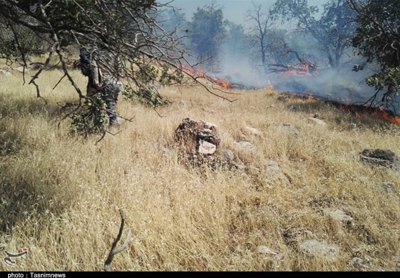 آتش سوزی جنگل ها و مراتع , استانداری کهگیلویه و بویراحمد , 