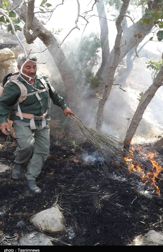 آتش سوزی جنگل ها و مراتع , استانداری کهگیلویه و بویراحمد , 