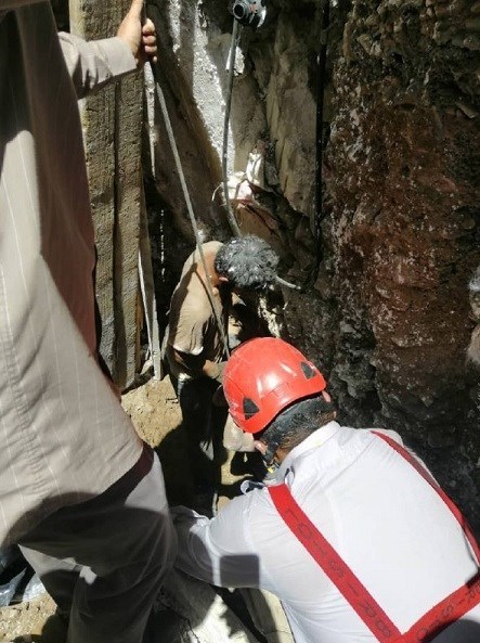 آتش‌نشانی , سازمان آتش‌نشانی تهران , حوادث , اورژانس , 