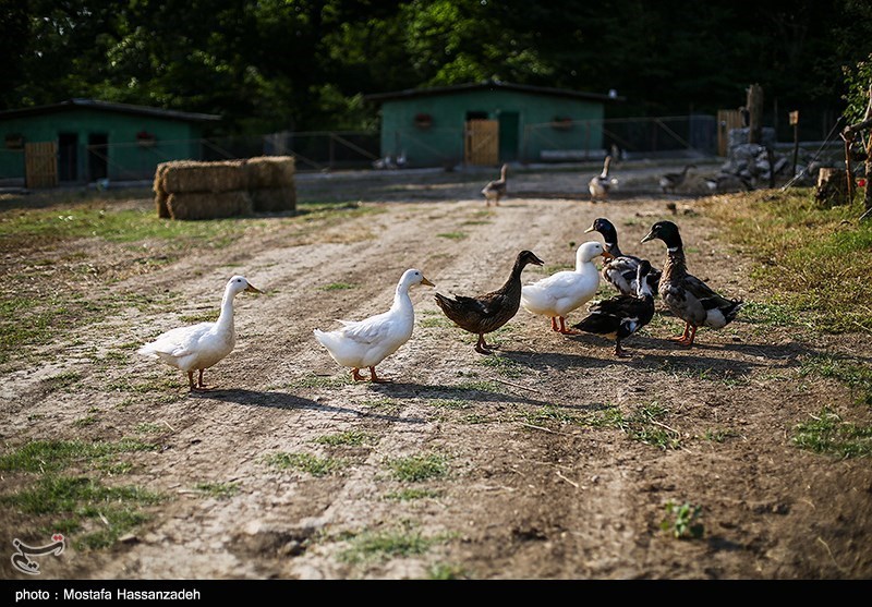 گردشگری | توریسم , گردشگری سلامت , وزارت میراث فرهنگی، گردشگری و صنایع دستی , کشاورزی ,
