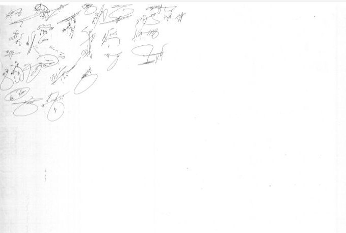 لیگ برتر فوتبال , فوتبال , سازمان لیگ فوتبال ایران ,