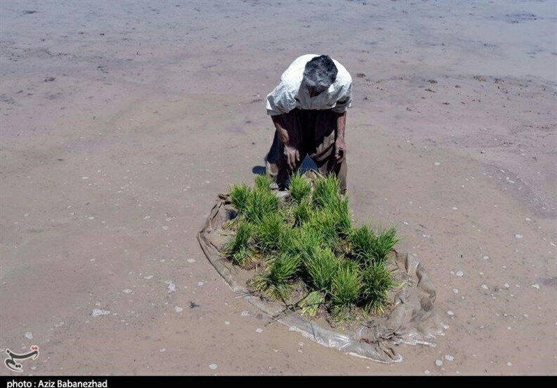 اخبار استان مازندران , اخبار بابل , 