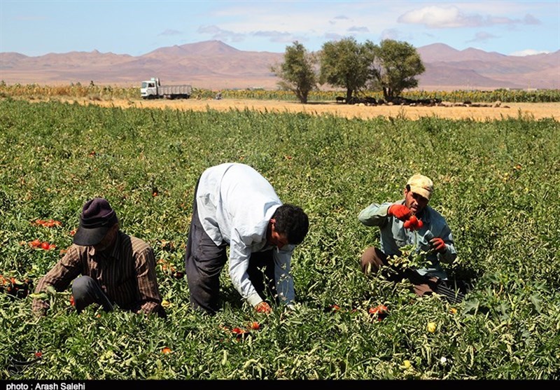 استانداری قزوین , کشاورزی , تولید ملی , اقتصاد مقاومتی , پرونده "کشاورزی، ناجی اقتصاد" , کمیسیون کشاورزی مجلس , اقتصاد قوی , 