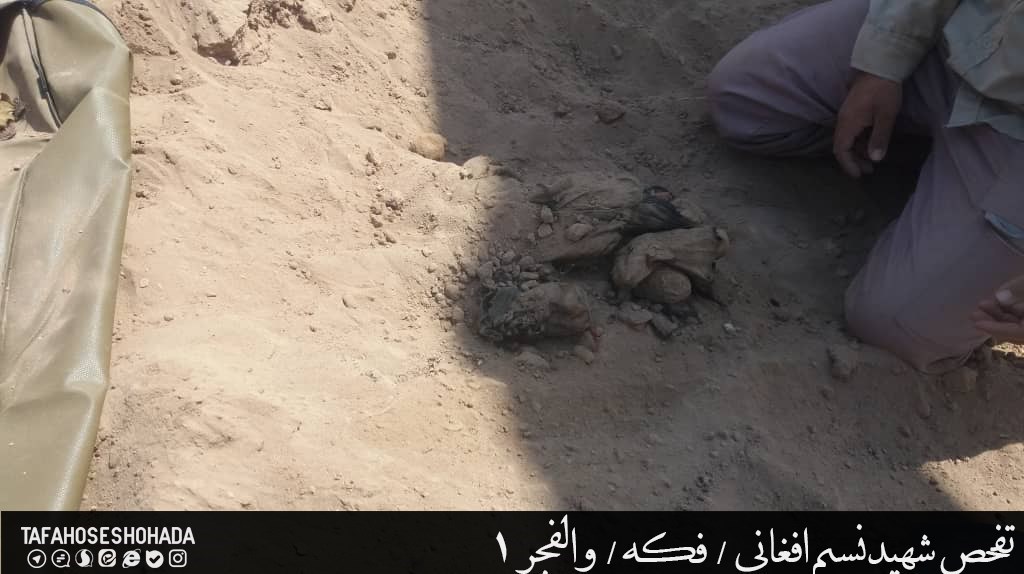 کمیته جستجوی مفقودین ستاد کل نیروهای مسلح , شهدای دفاع مقدس , مهاجرین افغانستانی , 