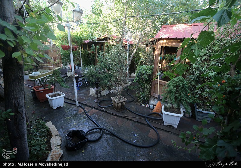 ویروس کرونا , بهداشت و درمان , پلیس امنیت | پلیس پاوا , پلیس | ناجا | نیروی انتظامی جمهوری اسلامی ایران , عملیات پلیس , 