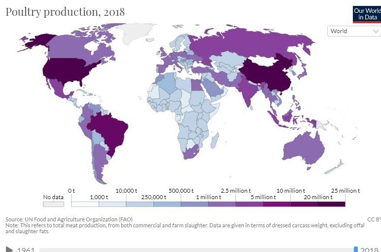 وزارت جهاد کشاورزی , قیمت مرغ , 