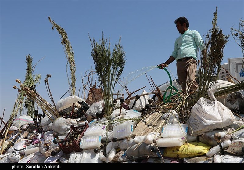 مواد مخدر , استان کرمان , 