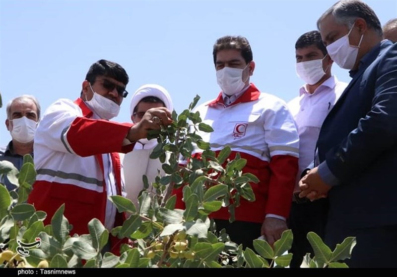 استان کرمان , 