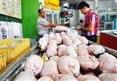 ‌بررسی‌های میدانی خبرنگار تسنیم از بازار مرغ و تخم‌مرغ ‌خراسان‌شمالی