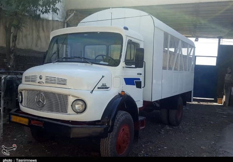 گروه‌های جهادی , 