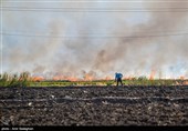 آتش زدن زمین های کشاورزی که از روش های غیر اصولی برای تغییر کاربری زمین کشاورزی میباشد که با توجه به اخطار های سازمان محیط زیست به کشاورزان و پیشنهاد روش جایگزین ،از این روش غیر اصولی همچنان استفاده میگردد و منجر به آلودگی محیطی بسیار شدید در منطقه شده است.