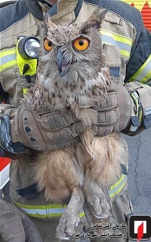 آتشنشانی , سازمان آتشنشانی تهران ,