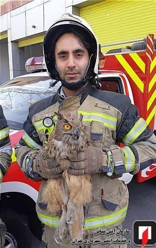 آتشنشانی , سازمان آتشنشانی تهران ,