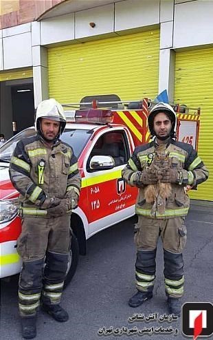 آتشنشانی , سازمان آتشنشانی تهران ,