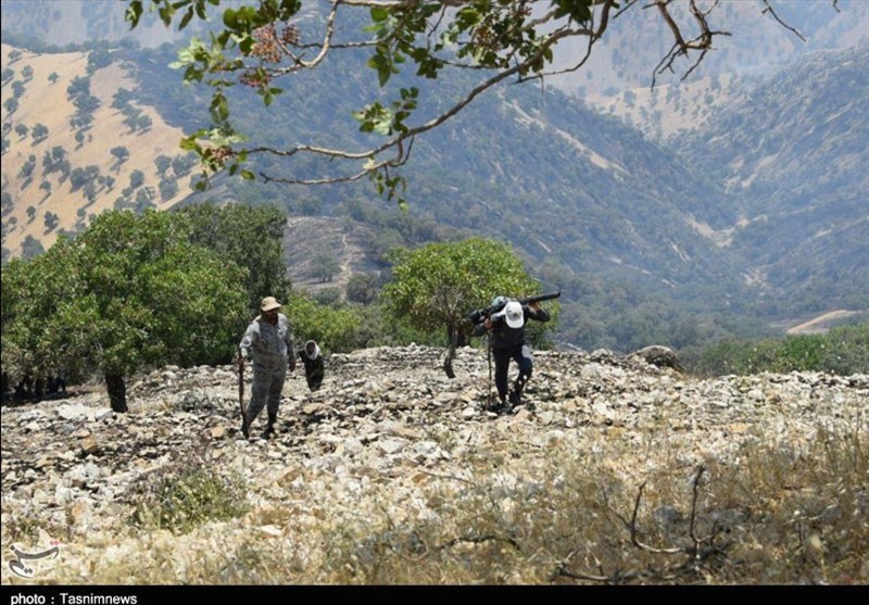 آتش سوزی جنگل ها و مراتع , آلودگی های زیست محیطی ,