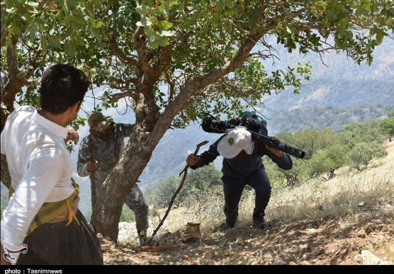 آتش سوزی جنگل ها و مراتع , آلودگی های زیست محیطی ,