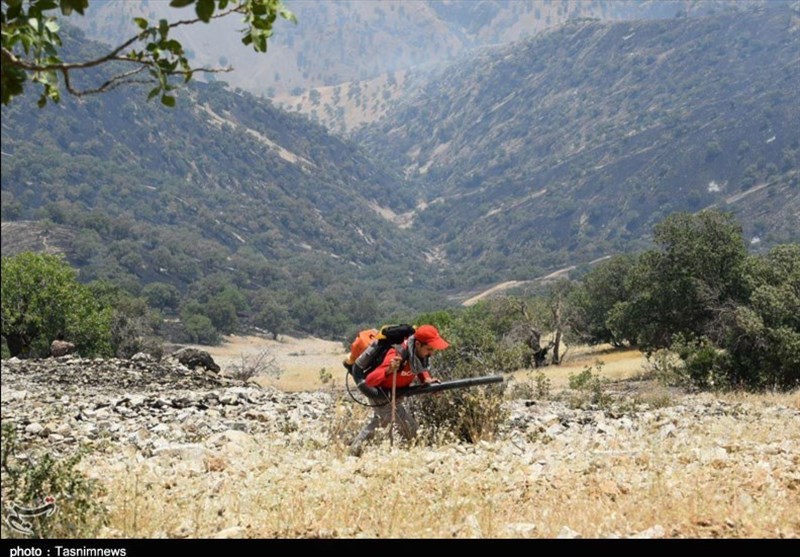 آتش سوزی جنگل ها و مراتع , آلودگی های زیست محیطی ,