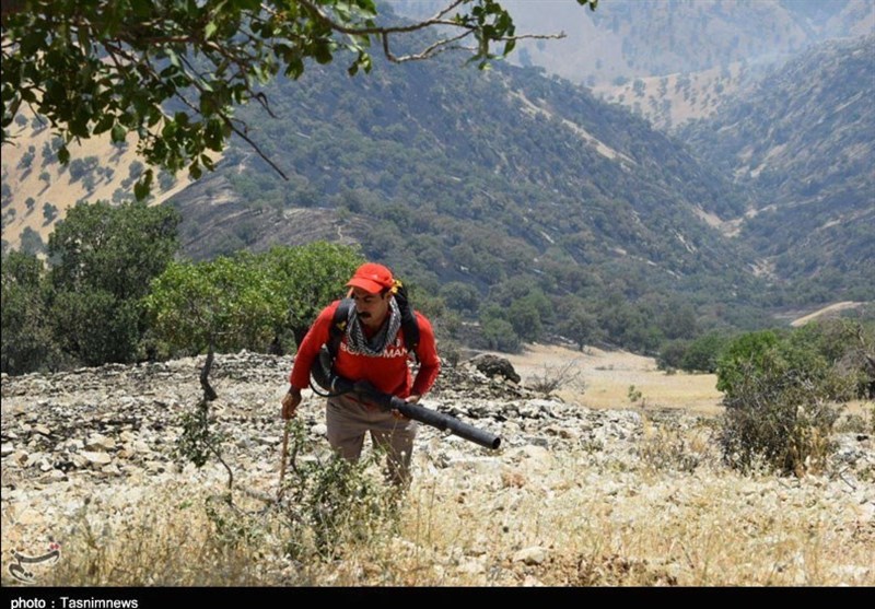 آتش سوزی جنگل ها و مراتع , آلودگی های زیست محیطی ,