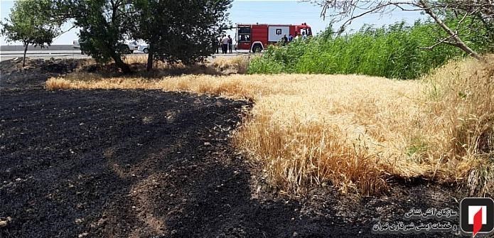 آتشنشانی , سازمان آتشنشانی تهران , آتشسوزی ,