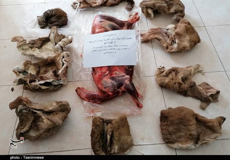 استان کرمان ,