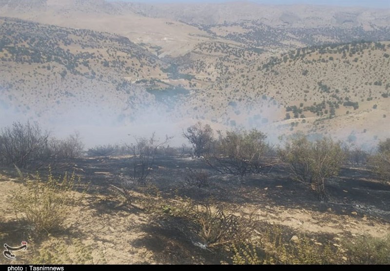 آتش سوزی جنگل ها و مراتع , 