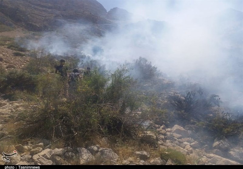 آتش سوزی جنگل ها و مراتع , 